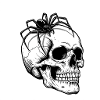 Skull & Spider - When Death Crawls