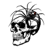 Totenkopf & Spinne – Netz des Todes