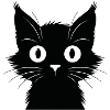 Chat curieux