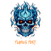 Flaming fury tshirt