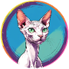 Chat Sphynx