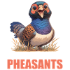 Pheasants Pheasant