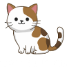 Adorable Cat Kitten