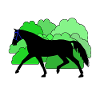 Pferd Pferde Rappe