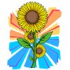 Soleil Fleur Fleurs Jardin Rétro