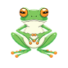 Meditating frog with big eyes