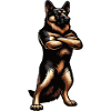 Deutscher Schäferhund Schäferhunde Schäferhunde