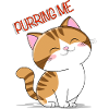 Purring me cat