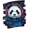 Panda Astronaut