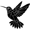 Black Hummingbird