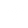 Colibri blanc