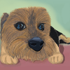 Hundeaugen oder Liebesreflex