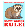 Slow Lorises Gift