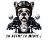 Biker Bulldog: Let's go pack!