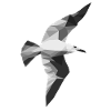 Polygon Möwe – Nordsee Geometrie