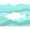 Fishing Fishing Rod Perch