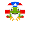 Taíno Echoes Caribbean Ancestry Pride