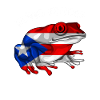 Taíno Echoes Caribbean Ancestry Pride