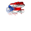 Taíno Echoes Caribbean Ancestry Pride