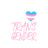 Transgender Trans LGBT Pride