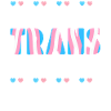 Fierté LGBT transgenre