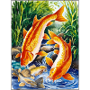 Carp