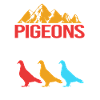 Pigeons Pigeon