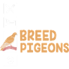 Pigeon pigeons