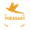 Pheasant Hunting Hunter Pheasant Hunting