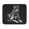 Canecorso