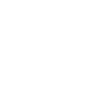 Chinchilla with moon and flowers