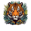 Tiger in the jungle