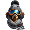TECKEL AU SKI