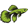 Cool green guppy design