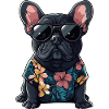 Buldog Français Chien Été