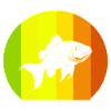 Perch Predator Fishing