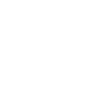 Rabbit Skull Skeleton