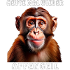 MONKEY AGAIN TODAY