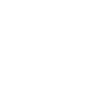 Arizona Palm Trees USA