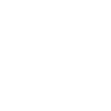Panama Palm Trees
