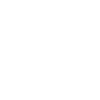 2029