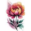 Elegant Peony