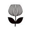 Tulipe