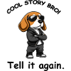 Dog cool