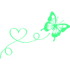 Butterfly love
