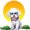 Sunset Pup in Neon Sunglasses