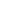 Official Christmas Lights