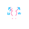 Transgender Trans LGBT Pride