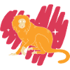Tamarin Monkey