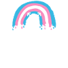 Fierté LGBT transgenre